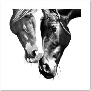 Two Beautiful Horses Posters and Art